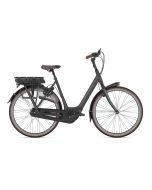 Gazelle Orange C8 HMB